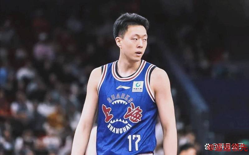 张知垚27分13板董灏21分12板6助 上海109-82湖北