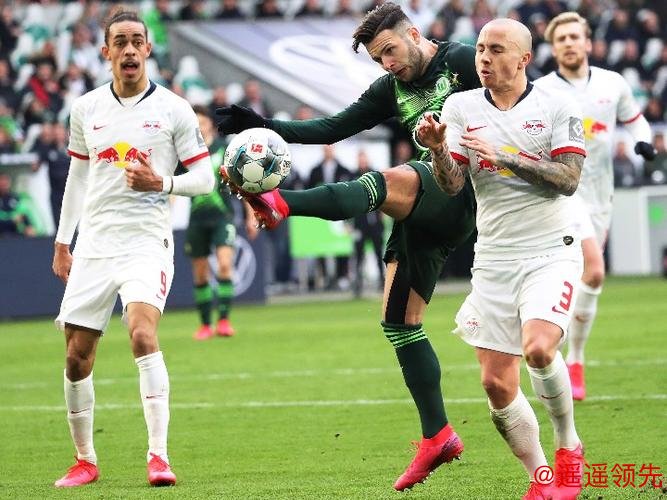 调查显示44%德国球迷愿意疫后去现场看球